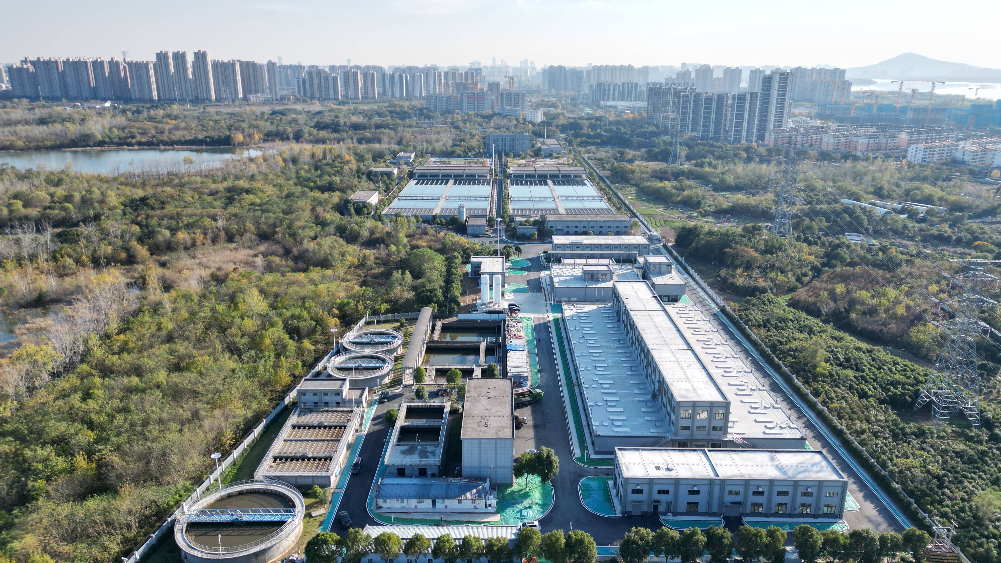 扬州市合肥专业企业价值增长(合肥市重点企业产业目录)