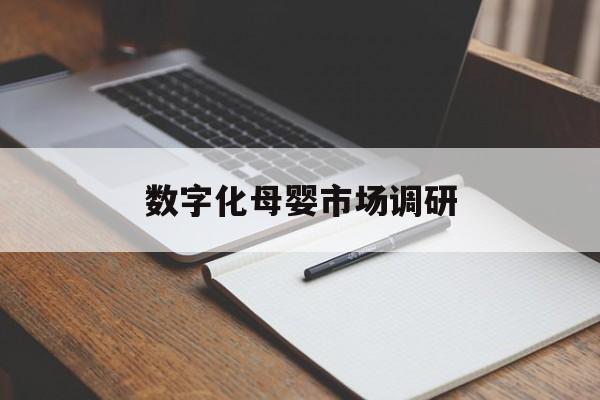 扬州市数字化母婴市场调研(数字化母婴市场调研报告)